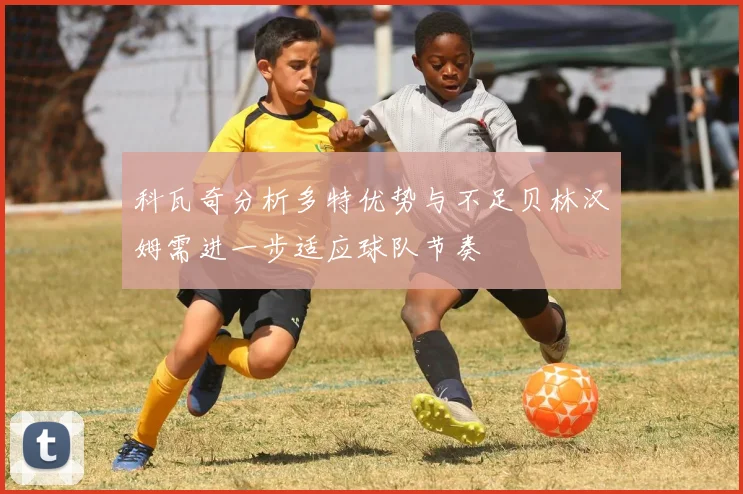 科瓦奇分析多特优势与不足贝林汉姆需进一步适应球队节奏